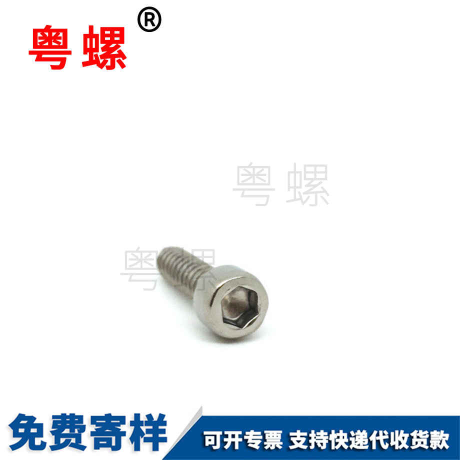 定制不銹鋼大理杯頭螺絲