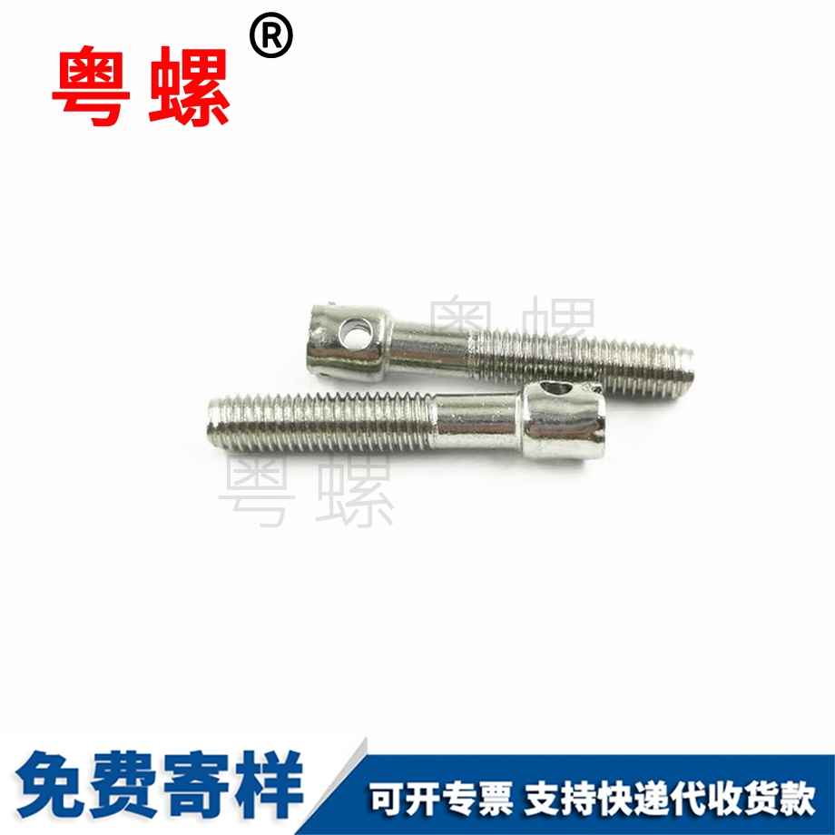 單孔鉛封電表螺絲 單孔鉛封電表螺絲