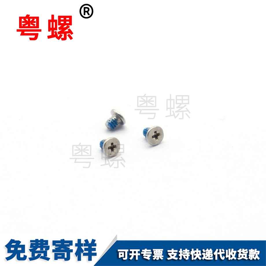 不銹鋼大慶電子螺絲