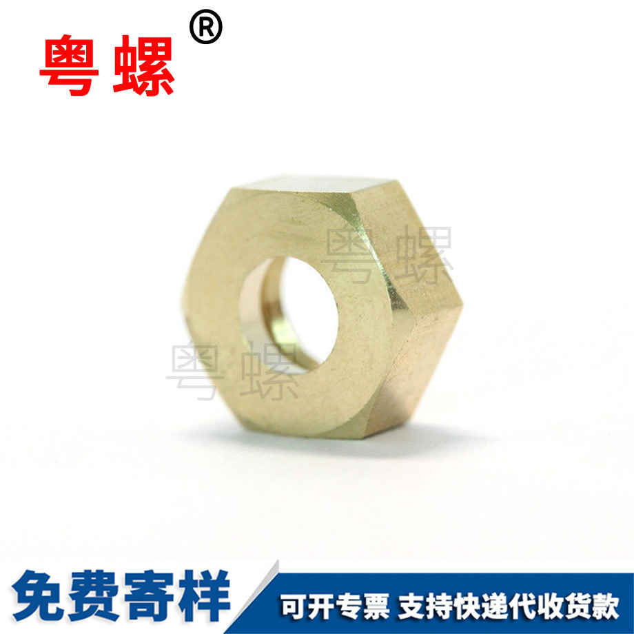 智能家用拖地機臨夏六角臨夏銅螺母