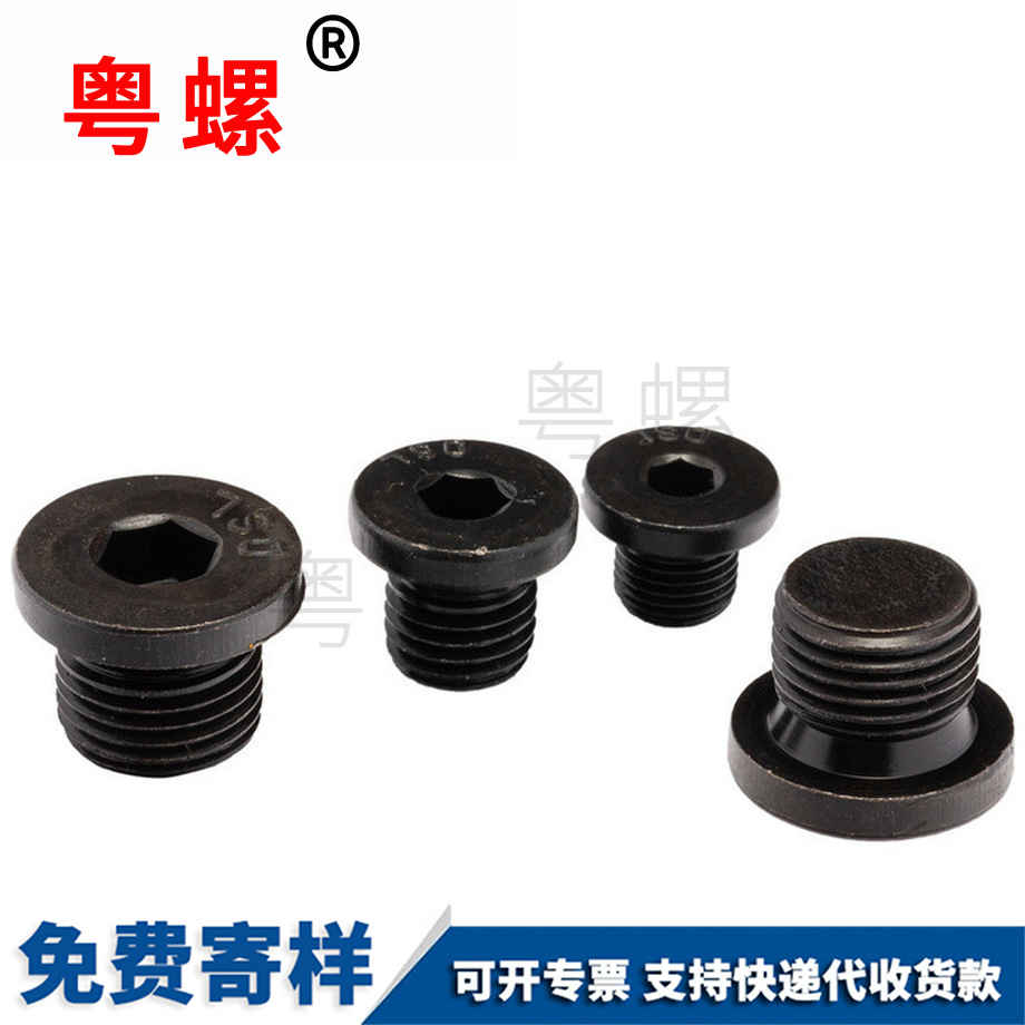 訂制內(nèi)六角法蘭面江北堵頭