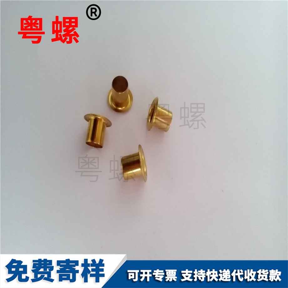 臨夏半空心不銹鋼鉚釘